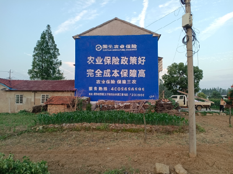 武宣墙体广告的优劣势你知道吗？